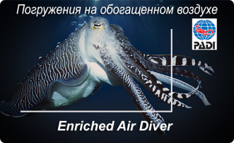 enriched
