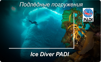 ice