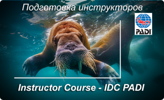 instructor